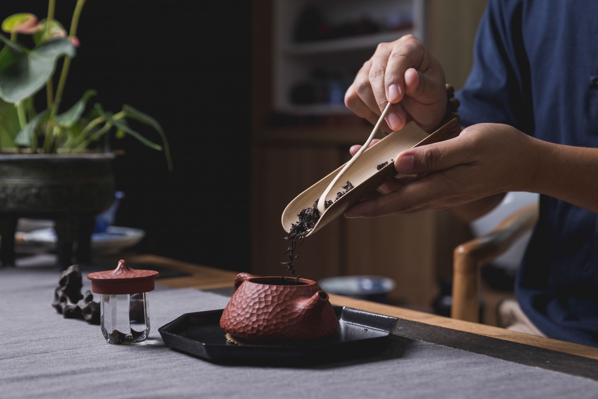 發掘台灣茶葉的珍貴之寶